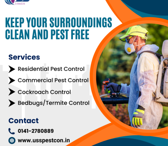 Cockroach control Service in Jaipur