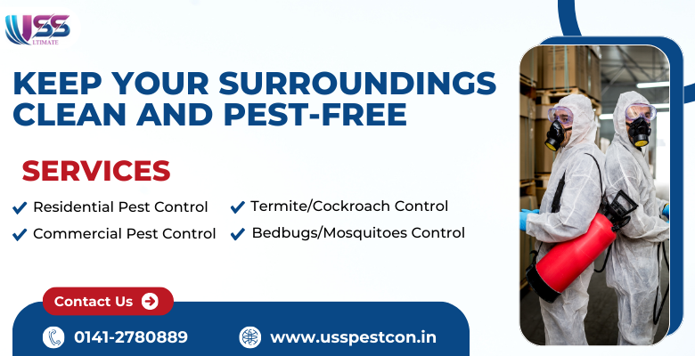 bedbugs control in Jaipur