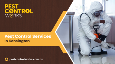 Pest Control Services in Kensington