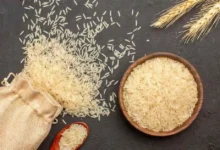 Rice Suppliers from India